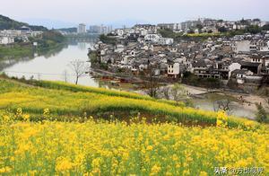 Anhui Xihu (Shui) County: Oilseed Rape Flowers Blooming on the Scenic Fishing Dam