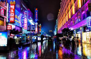 Daytime Shanghai: Fresh and Quiet Little Happiness, Nighttime Shanghai: Enjoying the City's Prosperity and Frenzy