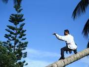 Taijiquan: Light on the Feet, Your Root is the Entire Earth
