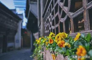 I Haven't Been to Wuyuan Yet