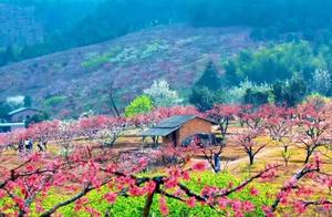 A person who understands your tears is better than a crowd of people who understand your smiles.
