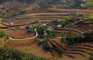 Pacified Terraced Fields, a Unique Spring Landscape in the Taihang Mountains