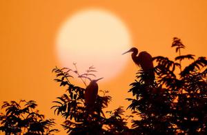Psychology: Which Sunset Landscape Do You Find Most Beautiful? Discover Your Personality Type
