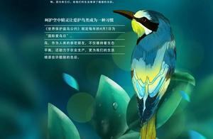 International Migratory Bird Day | Go to the Upper Mountains to Meet Your "New Friends"!