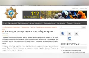 Russian Woman Trapped in Kitchen for Two Days After Being Attacked by Pet Cat, Rescued by Firefighters Through Window