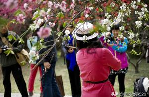 Very Critical Period, First Travel Group Launches from Sichuan, Netizens Have Mixed Reactions: Don't Do This, Go Home!