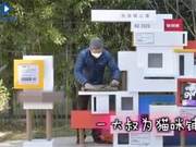This Community in Beijing is So Loving - They Built a Stray Cat Apartment!