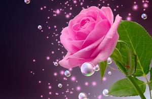 People who truly love you will give you positive energy and wish you to be better.