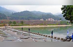 Development of Countryside Tourism and Construction of Scenic Landscapes in Changshufei County’s Zhangshu Under Village
