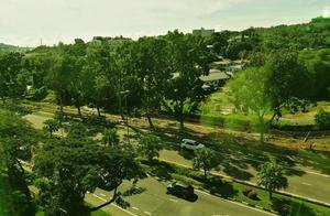 Looking out of the hotel window in Brunei feels like living in the forest, full of spring!