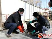 Guazhou County Police and Public Jointly Treat National Level Key Protected Animal Golden Eagle