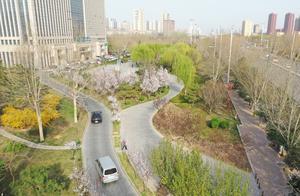 Shijiazhuang Yuhua Road Flower Viewing Map Released: Over Ten Types of Flowers Gradually Blooming, Flowering Period to Last Until November