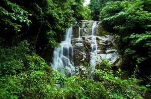First Batch Nationwide! Yueyang's Only! Mufu Mountain National Forest Health Base
