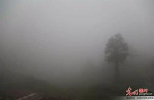 Is Running on Foggy Days Really Good?