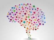 Psychological Test: Which Hemisphere of Your Brain Is Dominant?