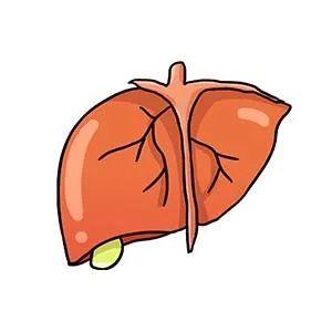 饮酒|只知道喝酒伤肝？说明你涉世未深……