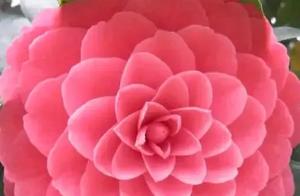 Beautiful Clouds, Gentle Wind, How to Eliminate the Malicious Virus