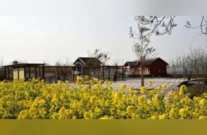 The Flowers Are in Full Bloom! Come and Admire the Beauty of Spring at Guangping Phoenix Garden!