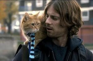 A Confession from Lonely Patients: Get a Cat!