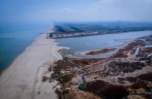 Dragonkou·Village Chronicle | Visiting Huangying Village Resort Area at the Yellow River Mouth