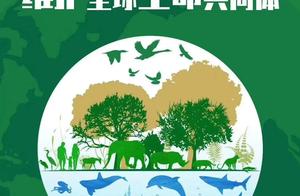 Maintaining the Global Community of Life, Say No to Eating Wild Animals