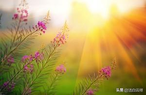 Light Memories