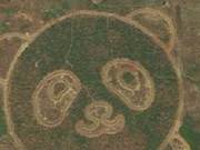 Are There Pandas Near Shuangliu Airport? Spotted on the Map!