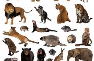 Will a Creature's Children Care for It When It Is Old and Lacks Survival Ability?
