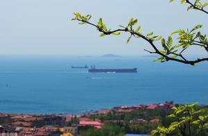 Red Tile Green Trees, Azure Sea and Blue Sky: Three-Day Trip to Qingdao