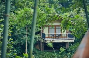 Top Resort in Guangdong Reopens, Latest Prices Released, Netizens Praise: Elegant and Stylish