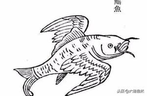 Five Animals in the Book of Mountains and Seas Resemble Mythical Beasts, Exploring Coincidences or Realities?