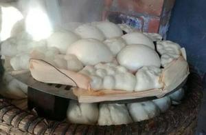 Why Some People Say It's Not Recommended to Use Yeast Powder for Steamed Buns