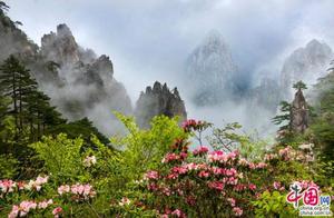 8 Scenic Areas of Huangshan Launch Popular Products to Revitalize Post-Pandemic Tourism Market