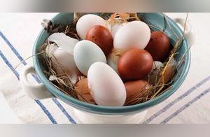 Today, the Editor Teaches You How to Identify Authentic Country Eggs!
