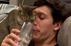 You're not raising a cat, but a debt collector from your past – your 'pet' owner says I was deceived by your appearance.