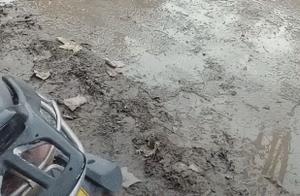 Two Puppies Pull a Large Cart of Goods, Exhausted and Unable to Continue, Owner Follows Closely with a Whip