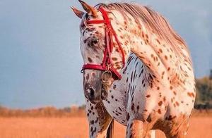 Please take a look at how cute these animals are!