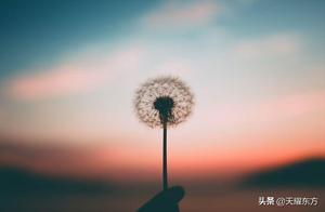 : Don't Do Everything, Know Who to Trust and Not to Trust