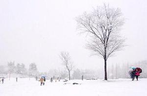 Seeking Footprints in the Snowscape