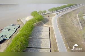 64 Seconds | Chaoyang East, Baieriku Yellow River Transforms into 'Gallery,' Red Willows and Green Willows Create a Vibrant Spring