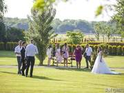The Most Romantic Horse Farm in Hungary, Horses are Clean and Beautiful, Locals Rush to Hold Weddings Here