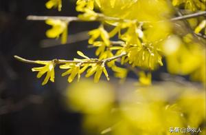 Walking and walking, the sky warmed, the wind softened, and spring arrived.