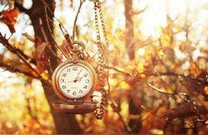 Seven Short Quatrains · Time's Passage