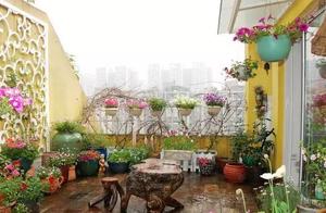 I Have a Terrace, Blooming with Fragrance in Every Season