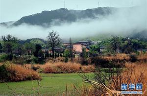 Rainy Huangpo Mountain