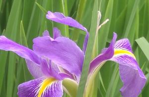 Spring Warmth, Flowers Bloom, See the World...