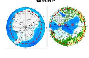 Why Can Animals at the Poles Resist the Cold? What ‘Special Techniques’ Do They Have?