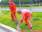Xiamen Xianghang Eliminates Red Fire Ants - More Than 300 Nests Processed