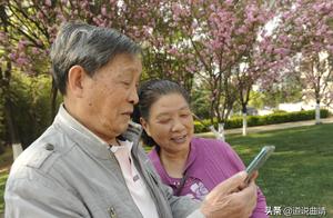 Cherry Blossoms in Lush Clusters Bloom at Longtan Park, Drawing Crowds