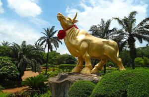 Enjoying Coconut Freedom in Haikou, Hainan: A Relaxing Day of Eating and Drinking